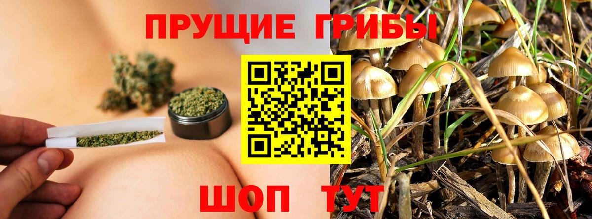 цена   Галлюциногенные грибы мицелий  Вход с VPN  Барабинск 